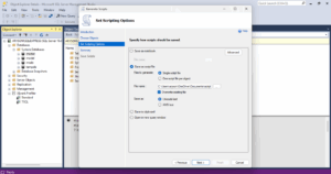 save this file as a script