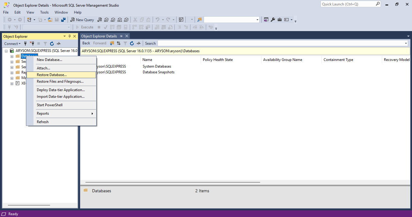Open menu section and choose the Restore Database option