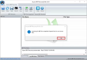 Clicking the OK button to start the BKF file recovery process